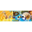 AQUALAND