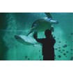Grand Aquarium de St-Malo