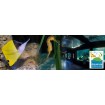 Aquarium du Val de Loire