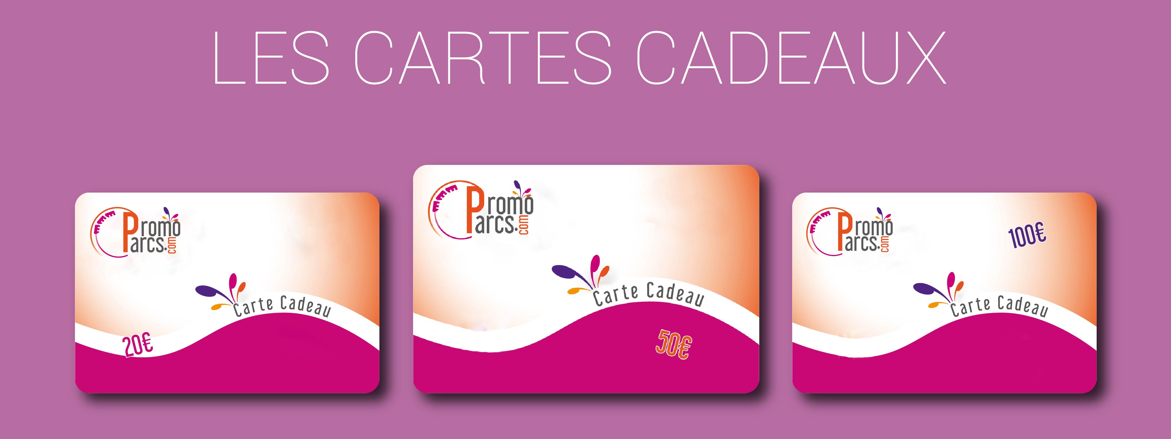 carte cadeaux promoparcs